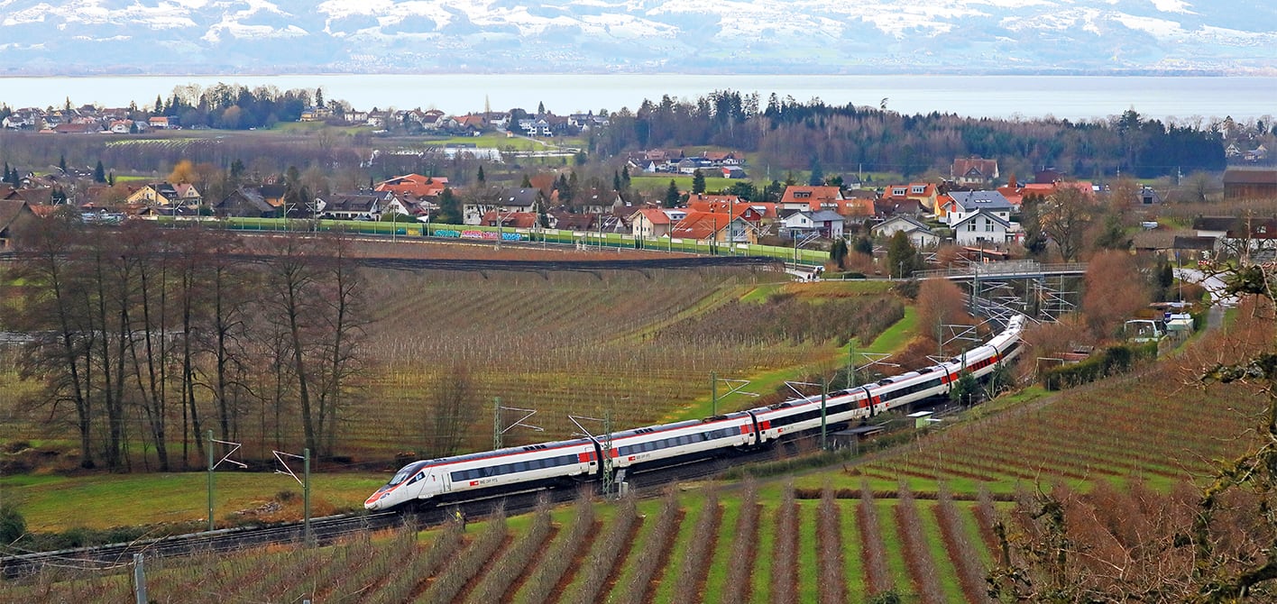 Zug, der durch die Weinberge fährt