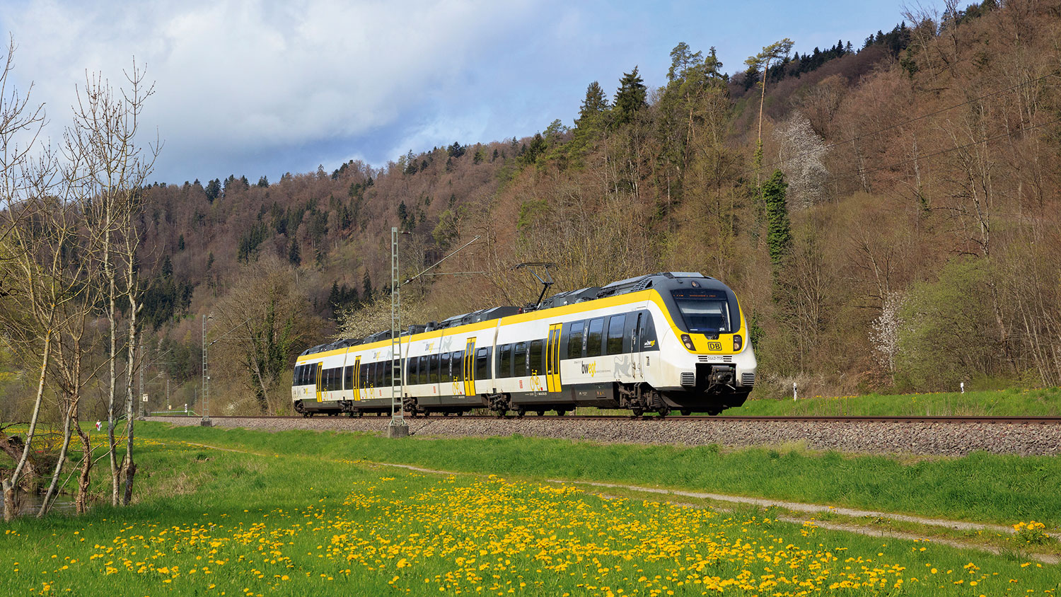 Bahn der DB in Landschaft unter Fahrdraht