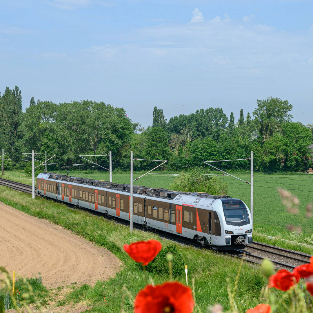 Eine moderne Regionalbahn der Abellio Rail fährt durch eine grüne, ländliche Landschaft mit Feldern und Bäumen im Hintergrund. Der Zug fährt auf elektrifizierten Gleisen, erkennbar an den Oberleitungen und den Masten entlang der Strecke. Im Vordergrund blühen rote Mohnblumen, die einen farblichen Kontrast zur Umgebung bilden. Der Himmel ist klar mit vereinzelten Wolken, und das Wetter wirkt sonnig.